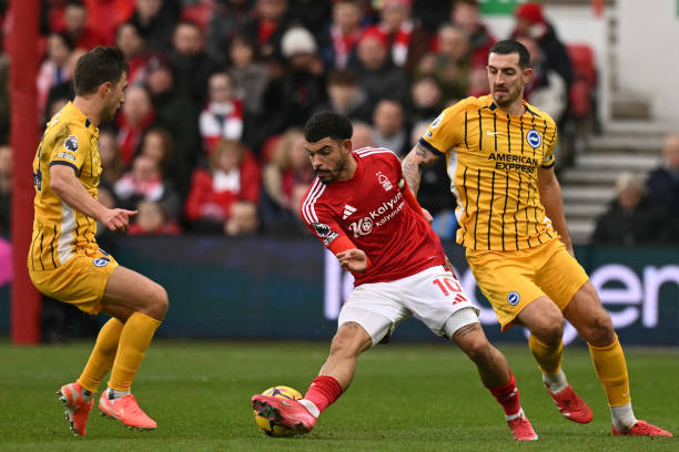 相信对于她 相信对于她