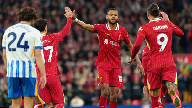 为这篇文章 为这篇文章